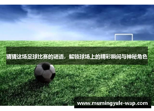 猜猜这场足球比赛的谜语，解锁球场上的精彩瞬间与神秘角色