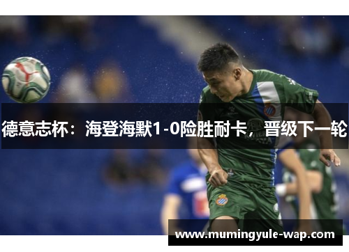 德意志杯：海登海默1-0险胜耐卡，晋级下一轮