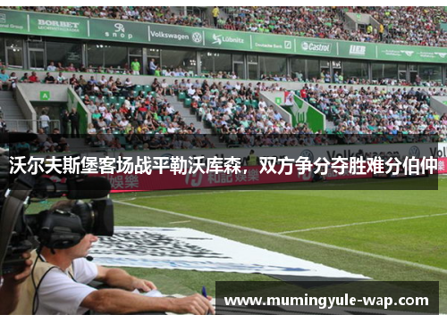 沃尔夫斯堡客场战平勒沃库森，双方争分夺胜难分伯仲